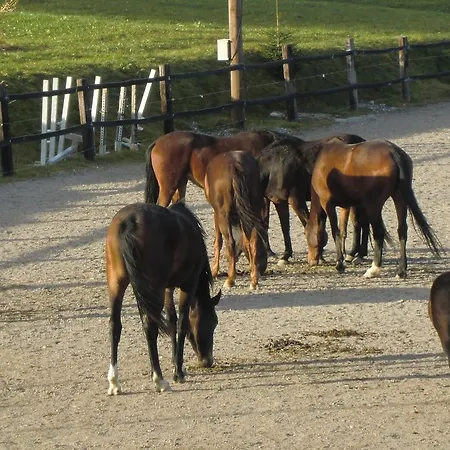 Weberhof Hopfgarten Gasthof