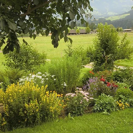 Weberhof Hopfgarten 3* Hopfgarten im Brixental