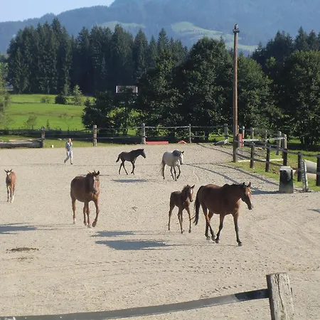 Weberhof Hopfgarten Gasthof