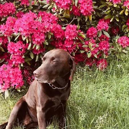 Weberhof Hopfgarten 3*