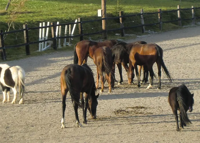 Weberhof Hopfgarten Pensión