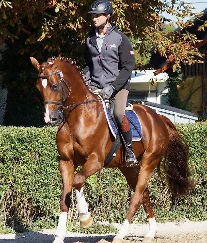 Weberhof Hopfgarten Pensión 3*