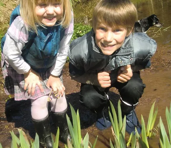 Weberhof Hopfgarten Pensión 3*