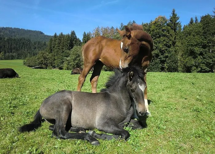 Weberhof Hopfgarten Hopfgarten im Brixental