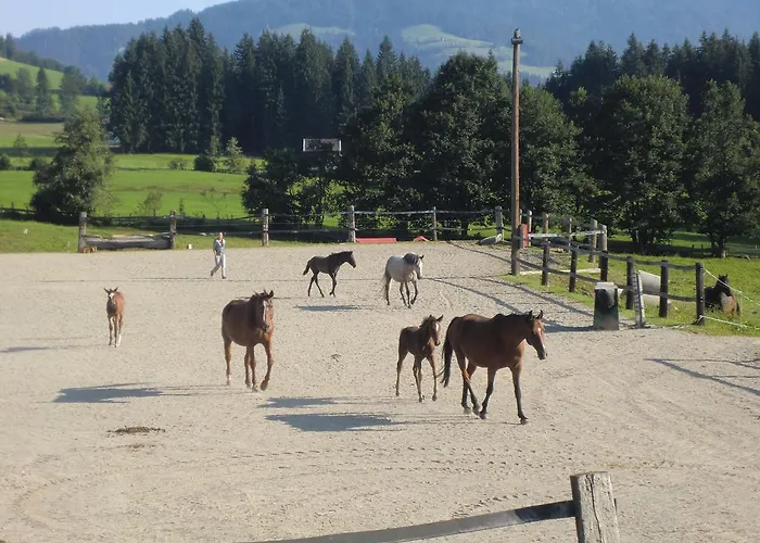 Weberhof Hopfgarten Pensión