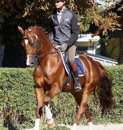 Weberhof Hopfgarten Affittacamere 3*