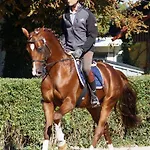 Weberhof Hopfgarten Guest house 3*