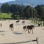 Weberhof Hopfgarten Guest house